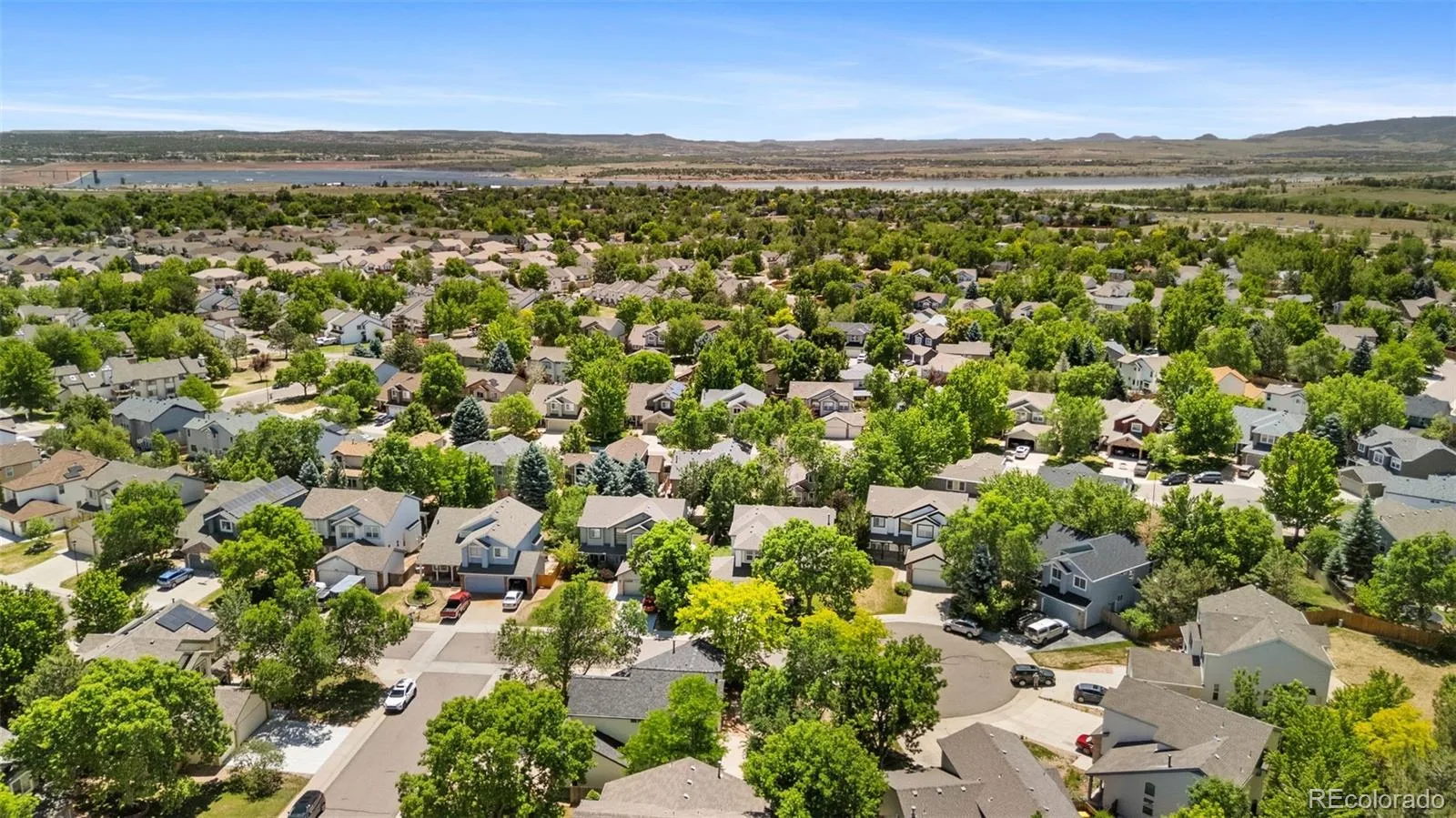 8359 S Flower Way Littleton CO 80128 | MLS #REC6794885 07252026154934 1600 31
