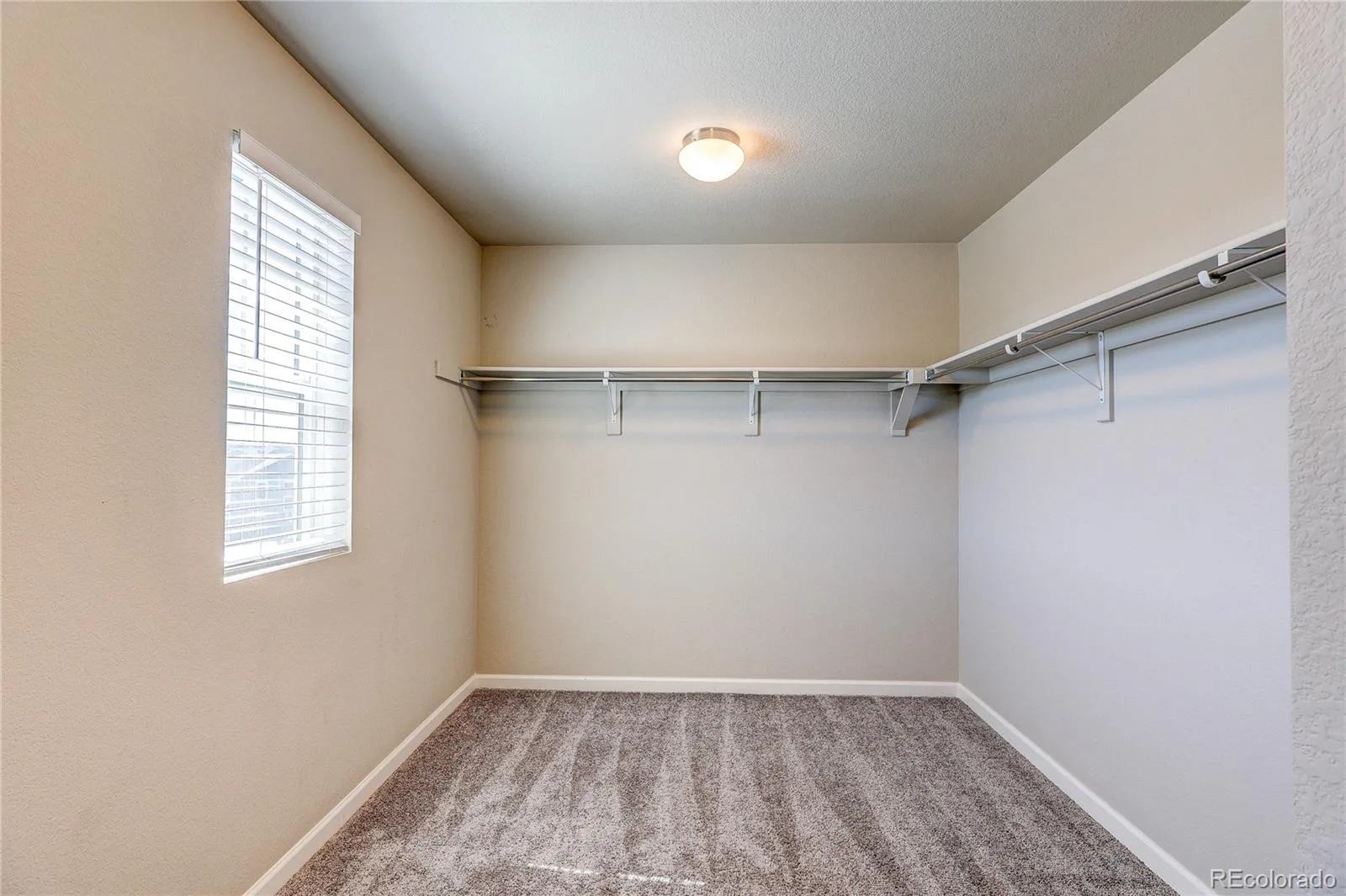 3426 Swabuck Place Castle Rock CO 80109 | MLS #REC6797291 08192026050026 1600 45