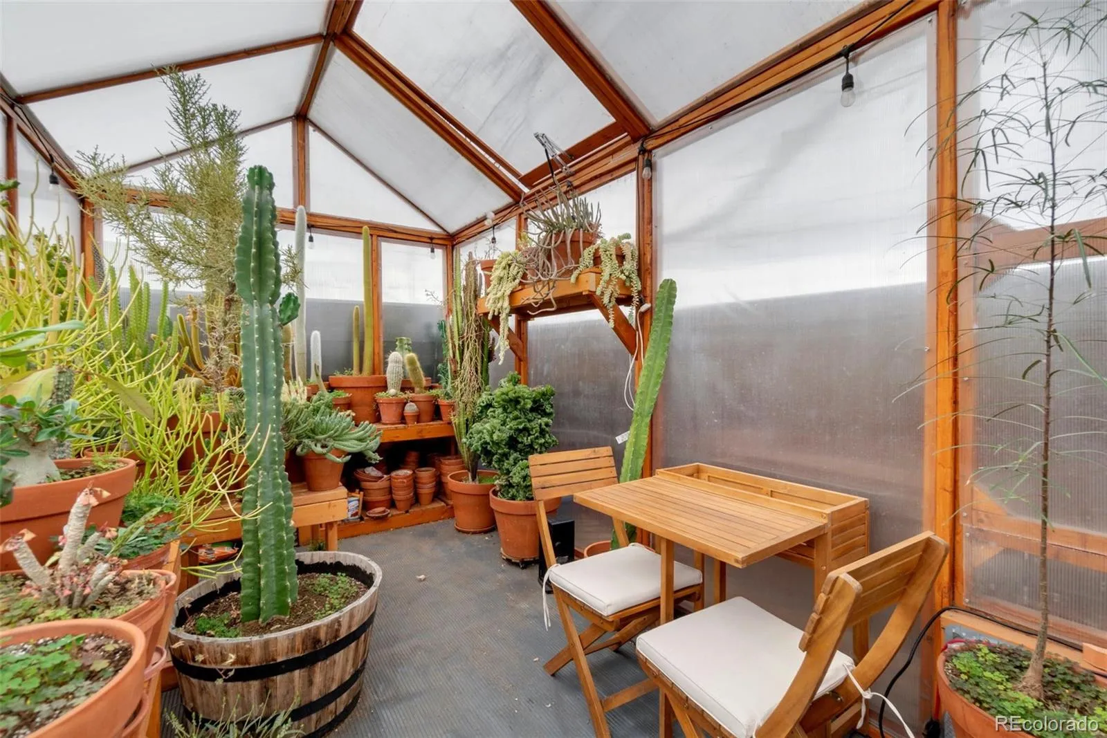 1435 Lipan Street Denver CO 80204 MLS #REC6799779 05152026202229 1600 24