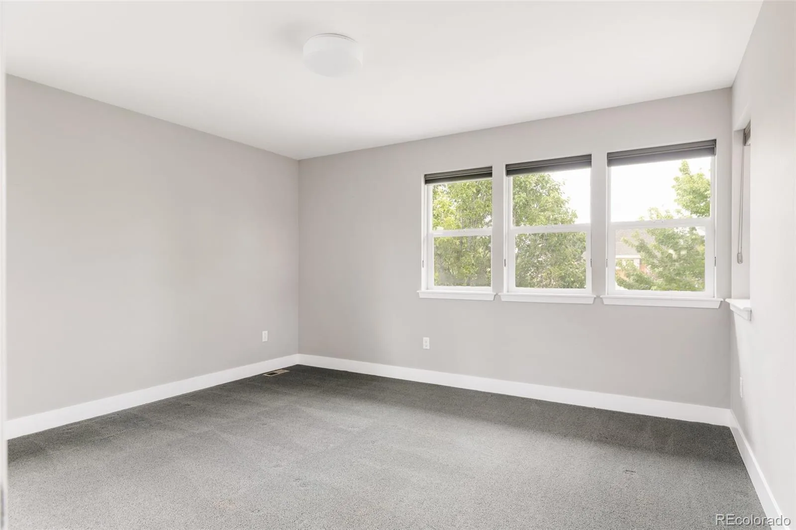 2831 Joliet Street Denver CO 80238 MLS #REC6801301 06102026165956 1600 21