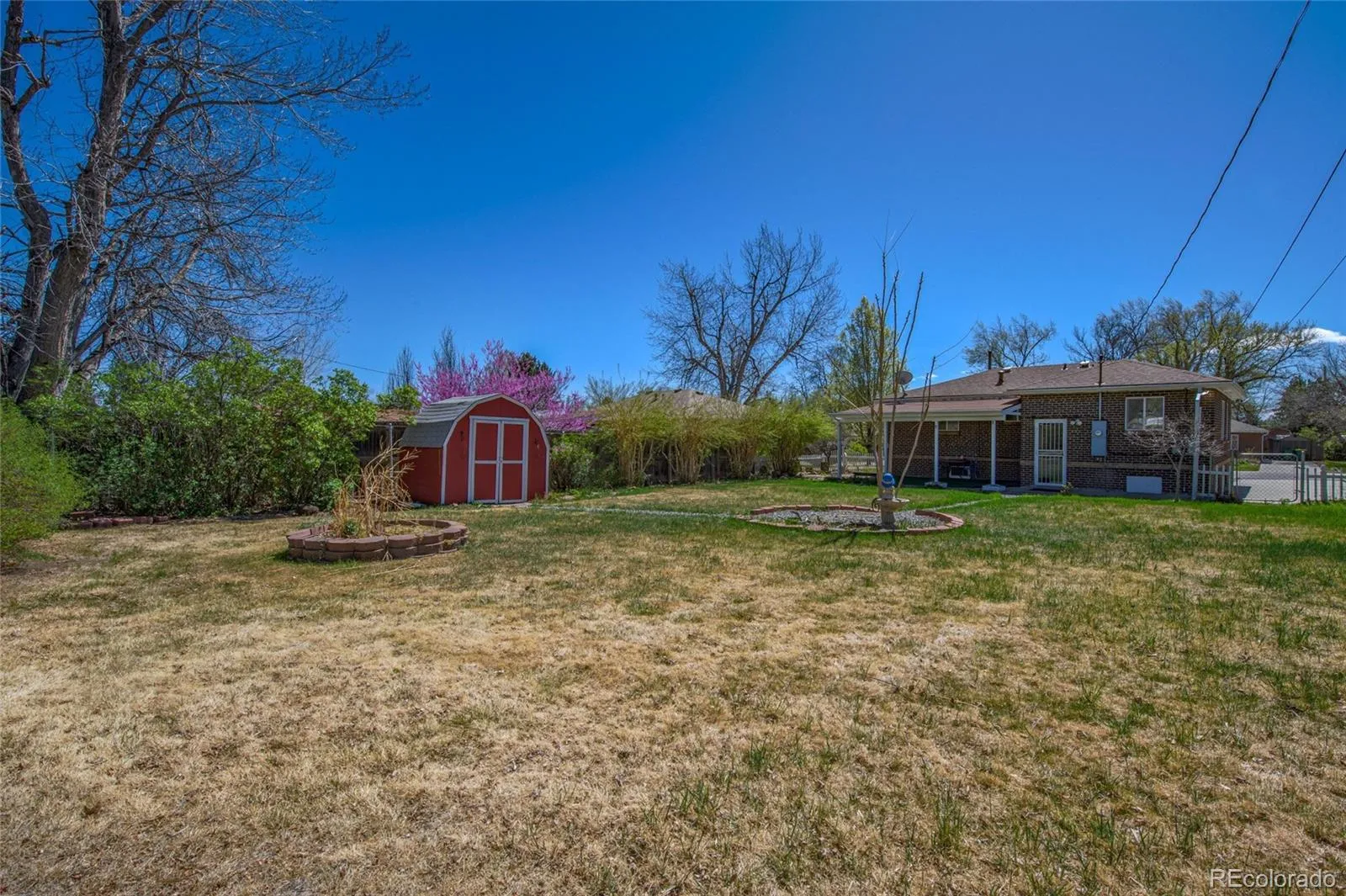 8165 W 17th Avenue Lakewood CO 80214 MLS #REC6808746 04302026174201 1600 28