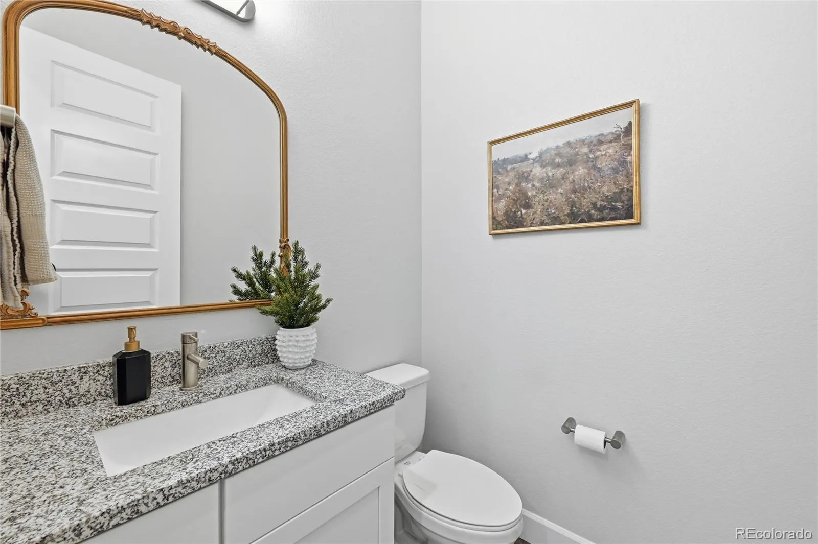 3208 Carabiner Street Castle Rock CO 80108 MLS #REC6809691 05122026024855 1600 23