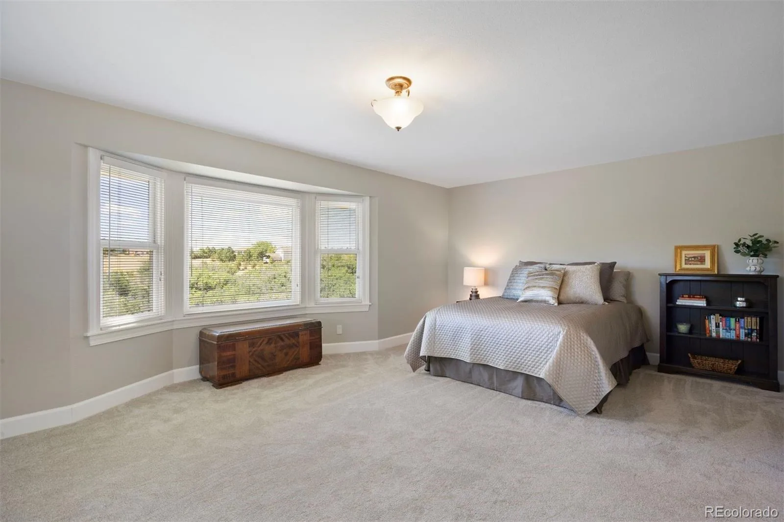 390 Suffolk Lane Castle Rock CO 80108 | MLS #REC6814751 08252026012521 1600 26