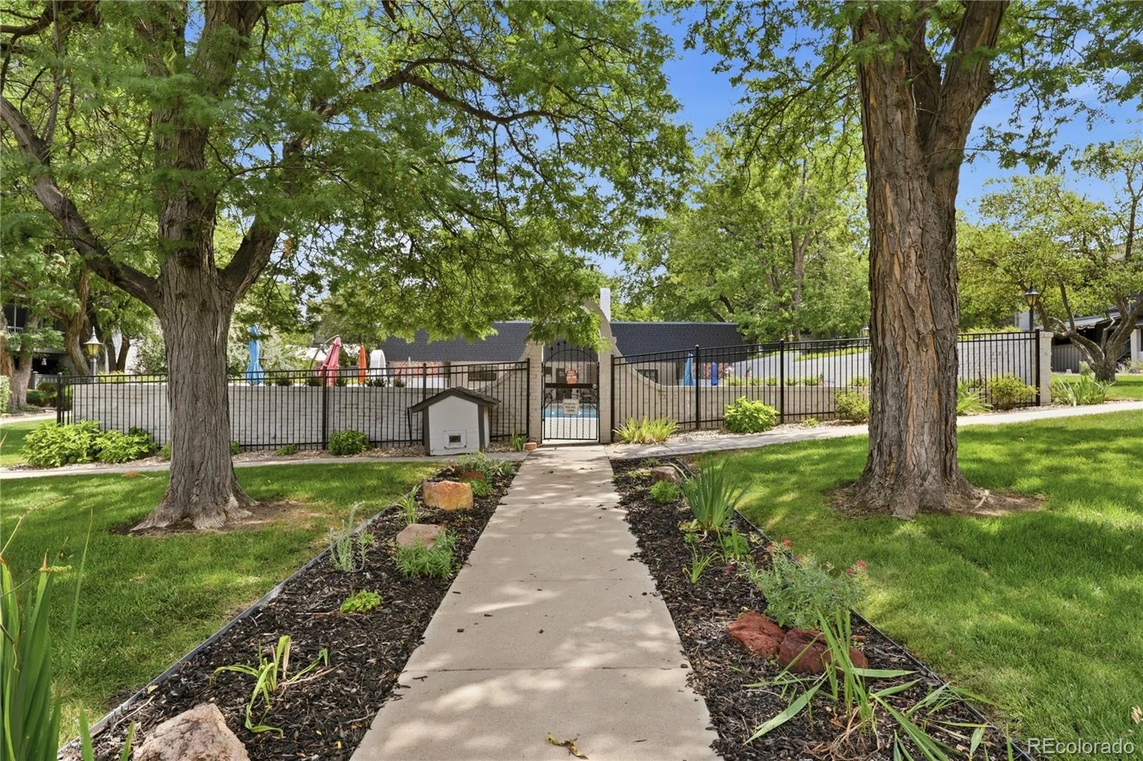 3536 S Ivanhoe Street Denver CO 80237 | MLS #REC6819792 08112026150836 1600 1