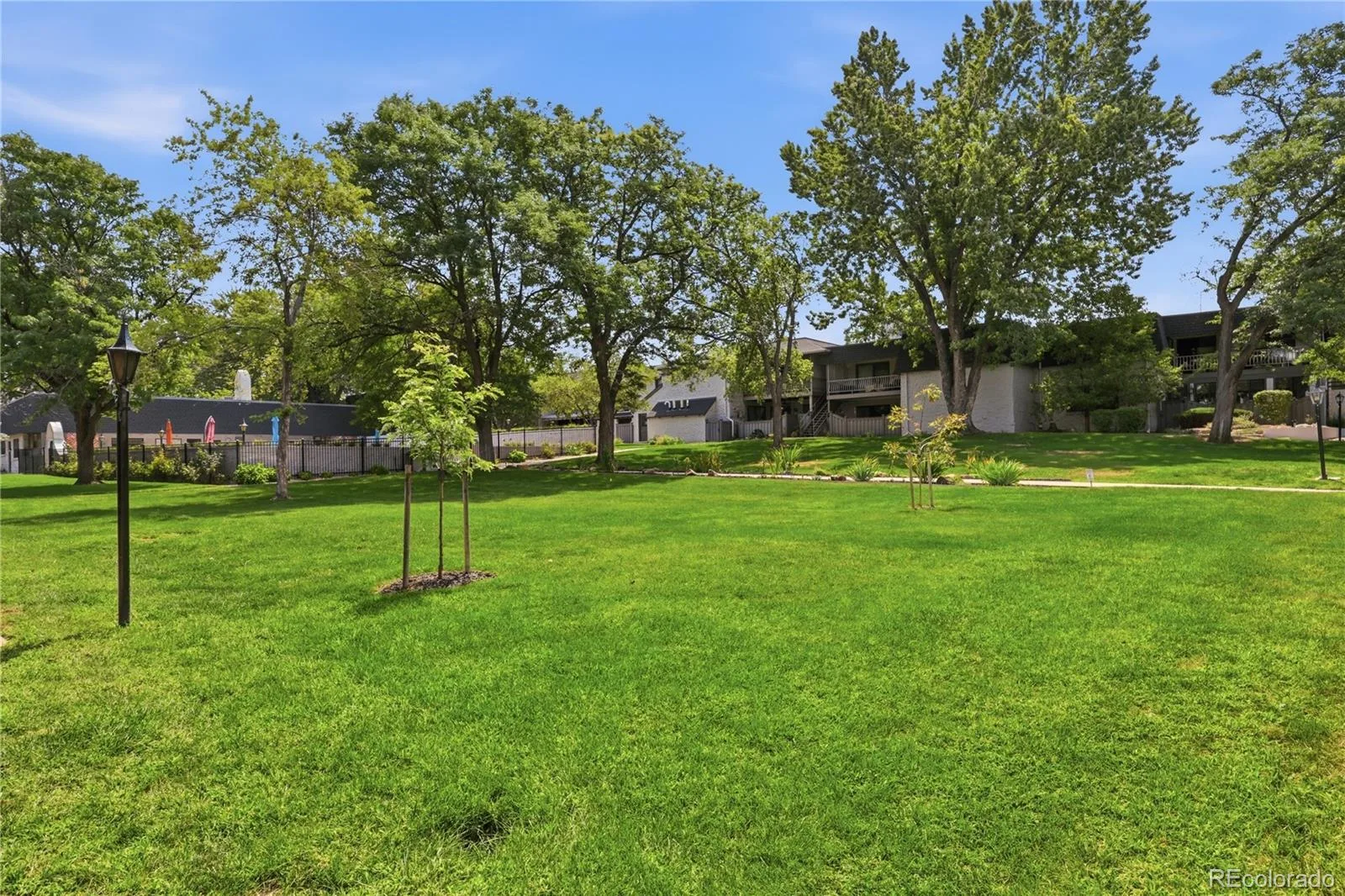 3536 S Ivanhoe Street Denver CO 80237 | MLS #REC6819792 08112026150836 1600 21