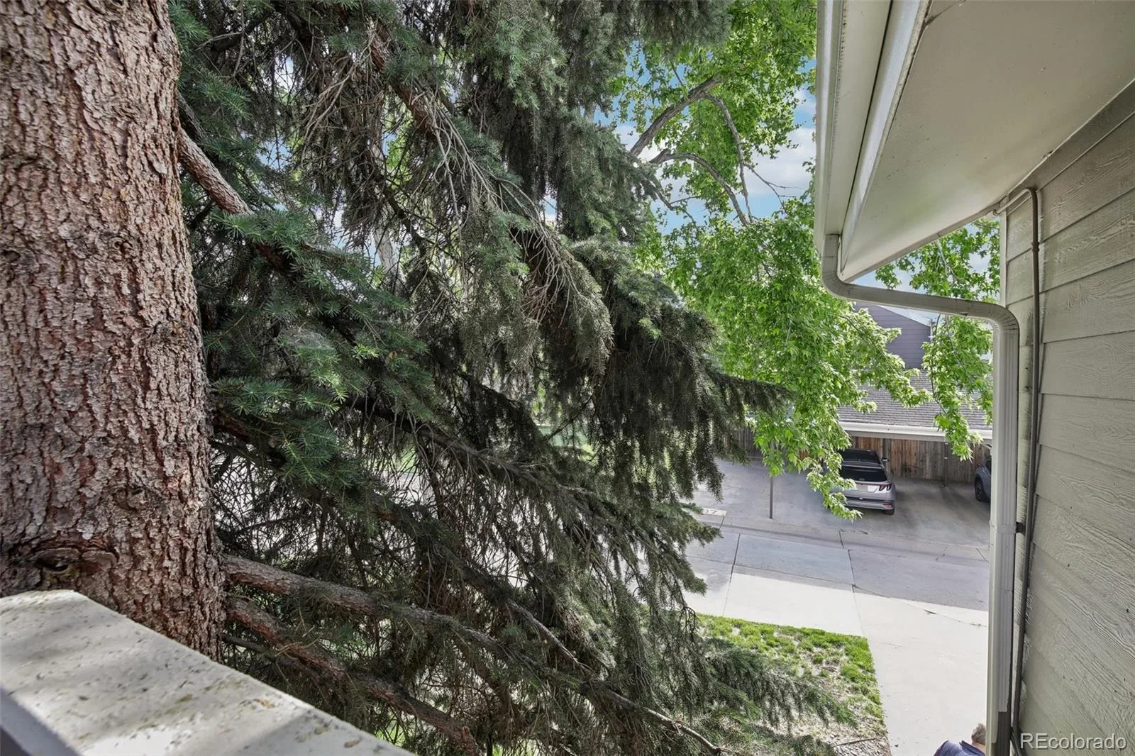 6560 W 84th Circle #127 Arvada CO 80003 | MLS #REC6822821 07142026180420 1600 20