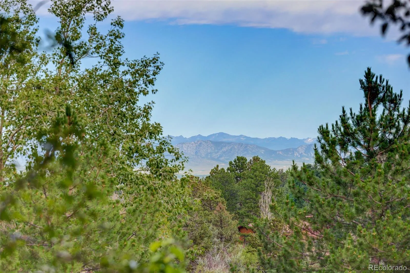 4875 S Monaco Street #309 Denver CO 80237 MLS #REC6825152 07152026024225 1600 2