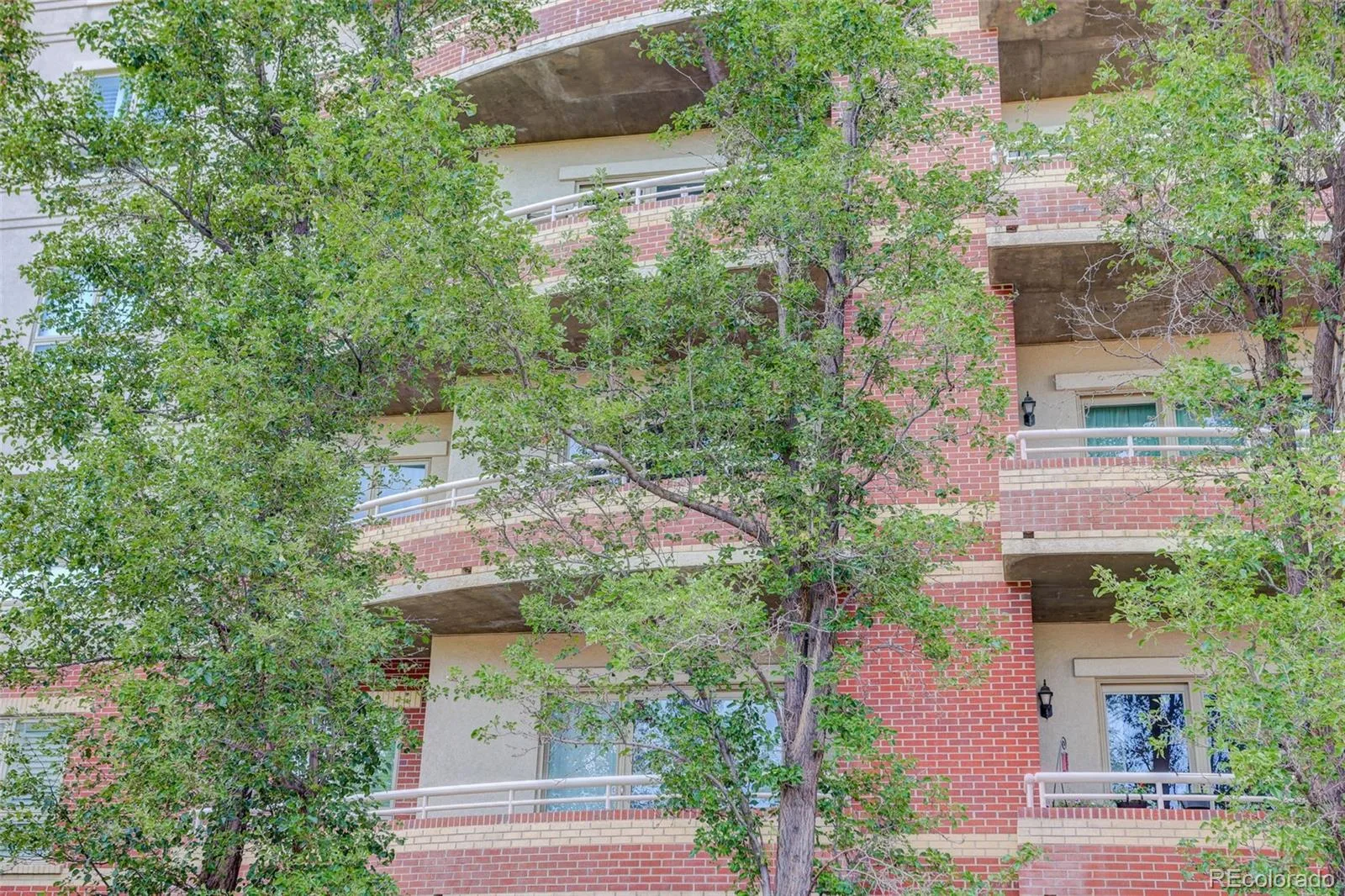 4875 S Monaco Street #309 Denver CO 80237 MLS #REC6825152 07152026024225 1600 39