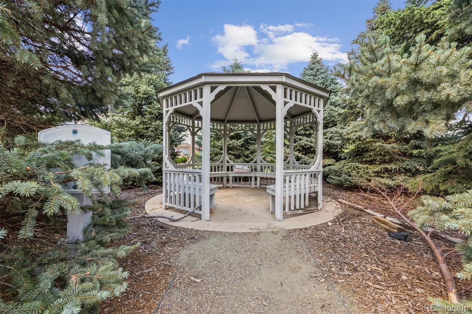 9685 Deerhorn Court #129 Parker CO 80134 | MLS #REC6829054 08312026201632 1600 25