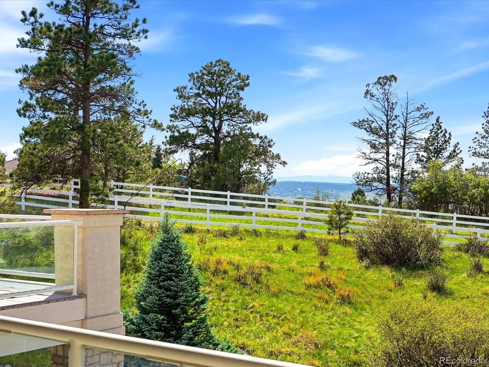 7515 Crooked Oak Court Parker CO 80134 | MLS #REC6830214 06152026233111 1600 24