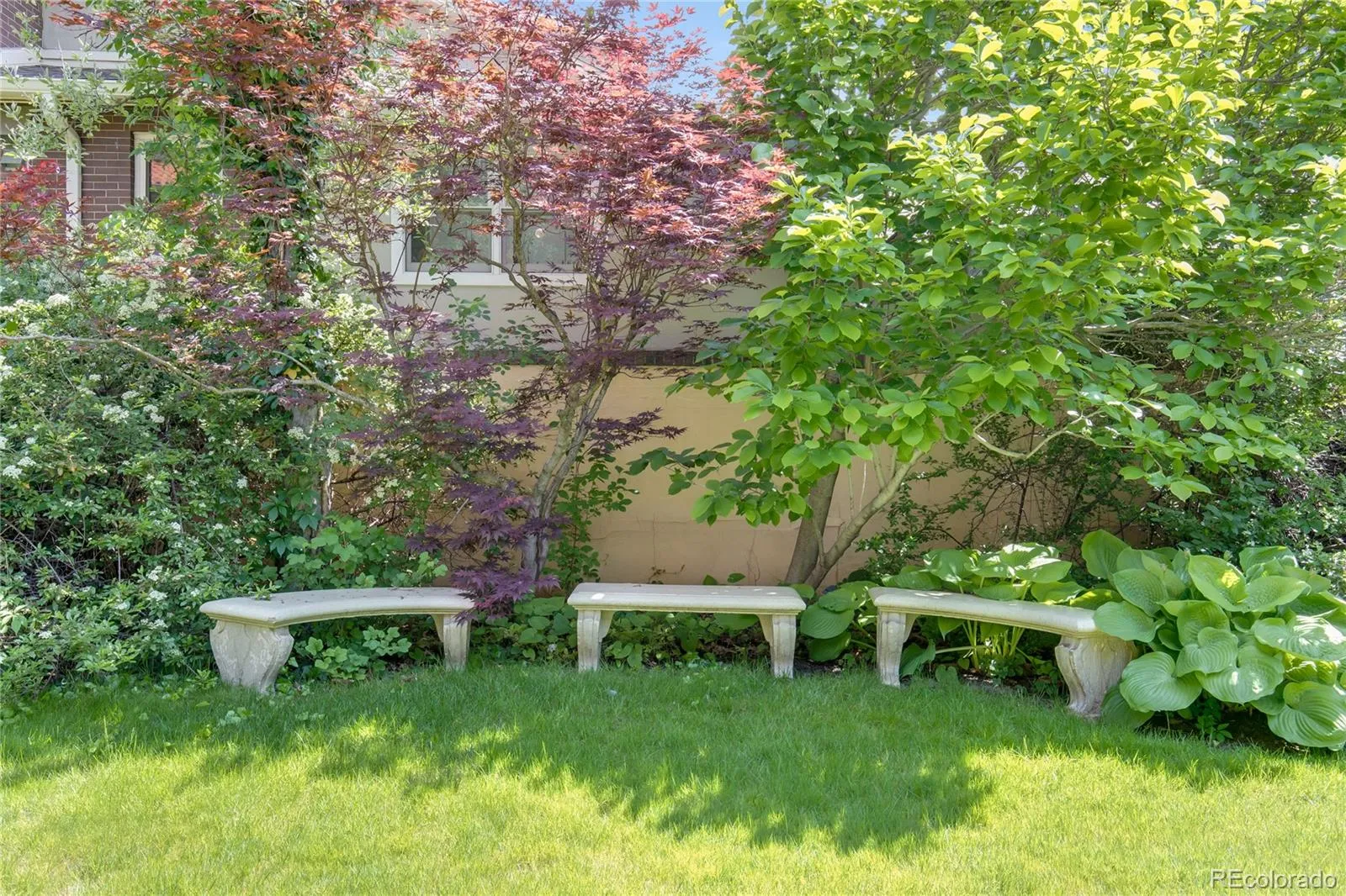 199 Lafayette Street Denver CO 80218 MLS #REC6833203 04032026192202 1600 43