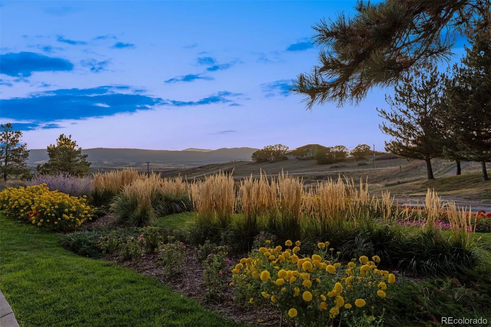 3202 Country Club Parkway Castle Rock CO 80108 MLS #REC6836725 07152026190953 1600 24