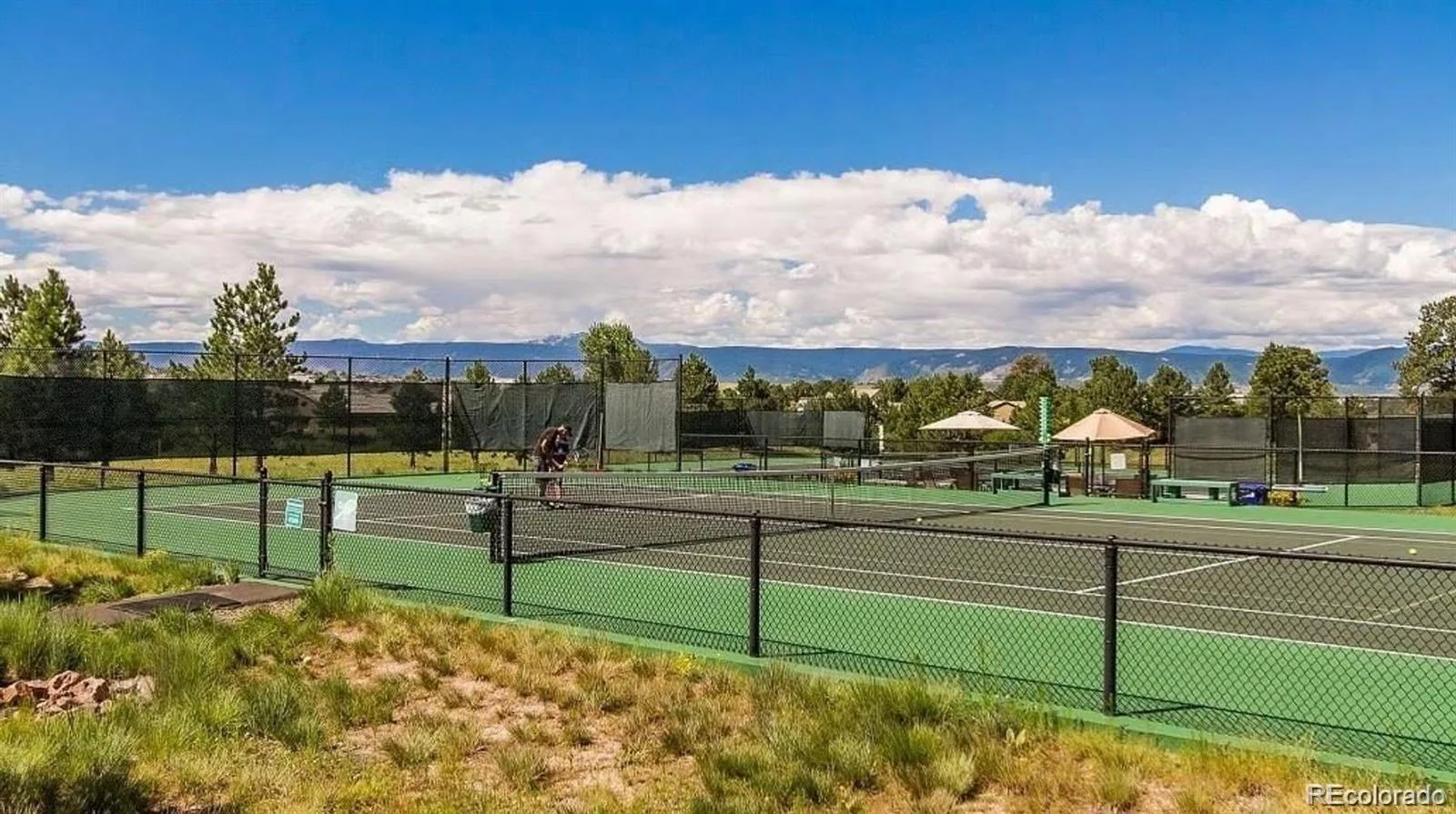 3202 Country Club Parkway Castle Rock CO 80108 MLS #REC6836725 07152026190953 1600 28