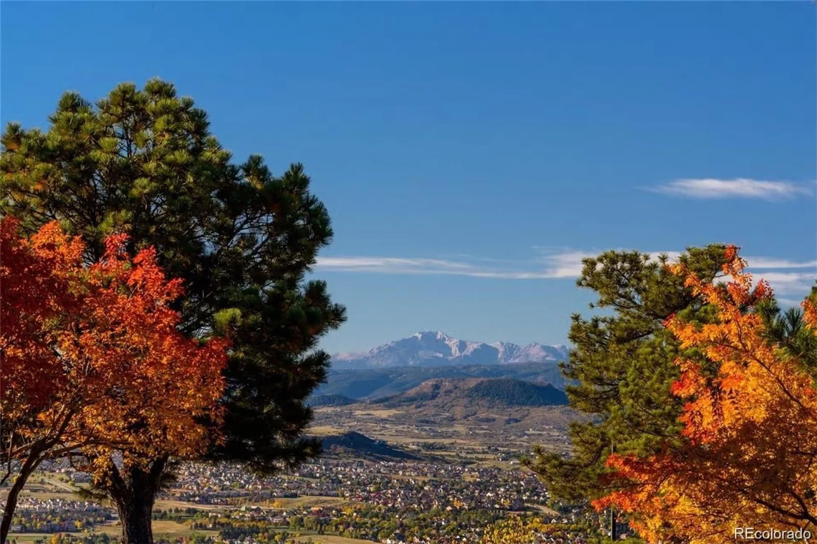 3202 Country Club Parkway Castle Rock CO 80108 MLS #REC6836725 07152026190953 1600 38