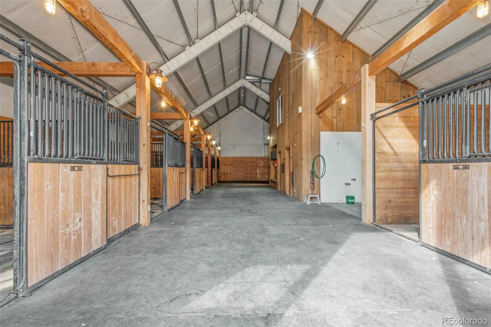 378 Conestoga Road Franktown CO 80116 | MLS #REC6848315 08272026212722 1600 3