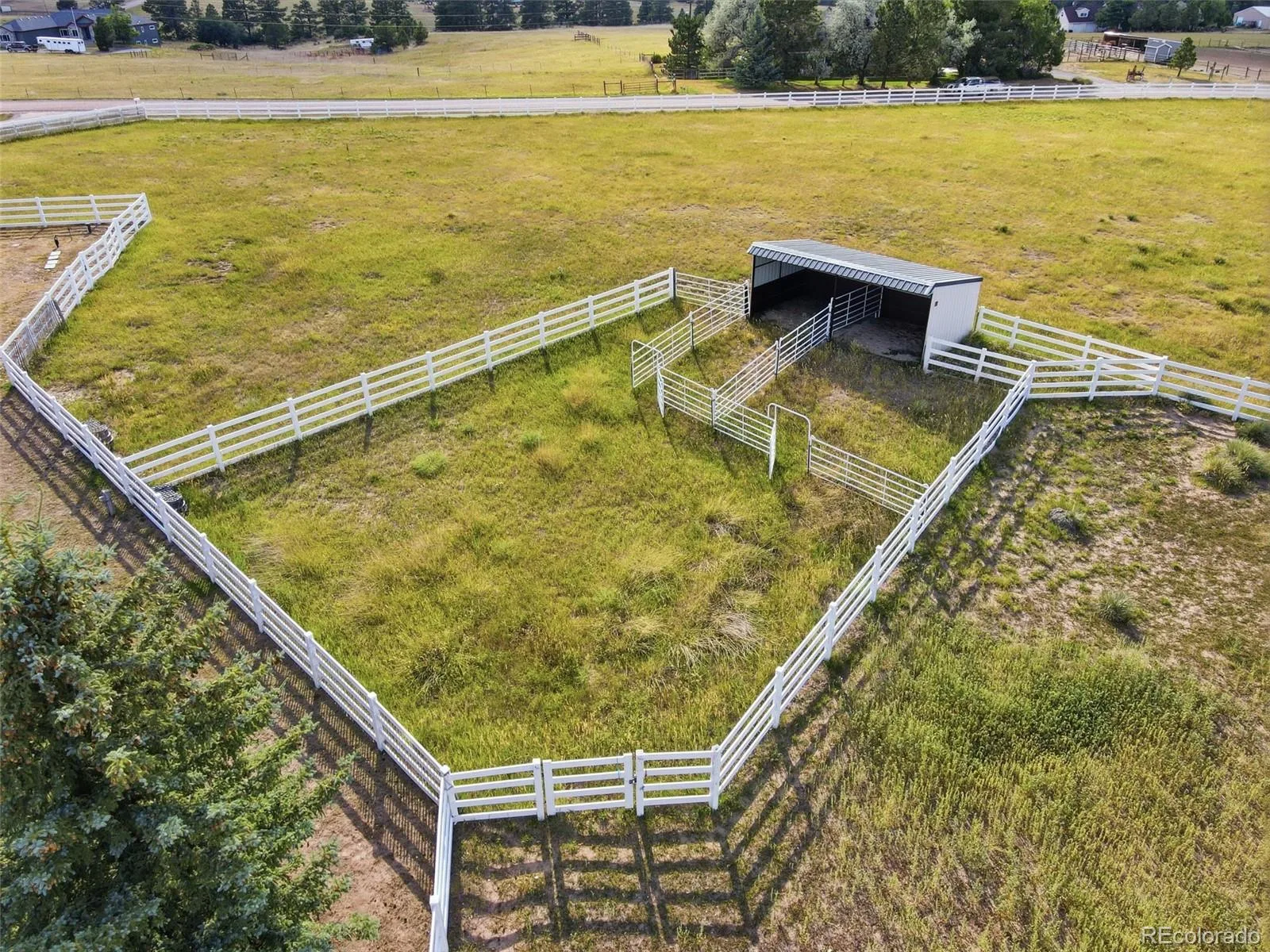 378 Conestoga Road Franktown CO 80116 | MLS #REC6848315 08272026212722 1600 36