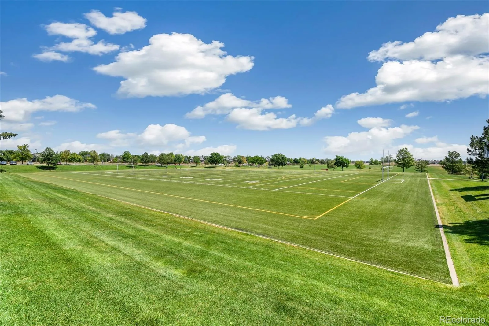 874 Dexter Drive Broomfield CO 80020 MLS #REC6857259 07172026020514 1600 37