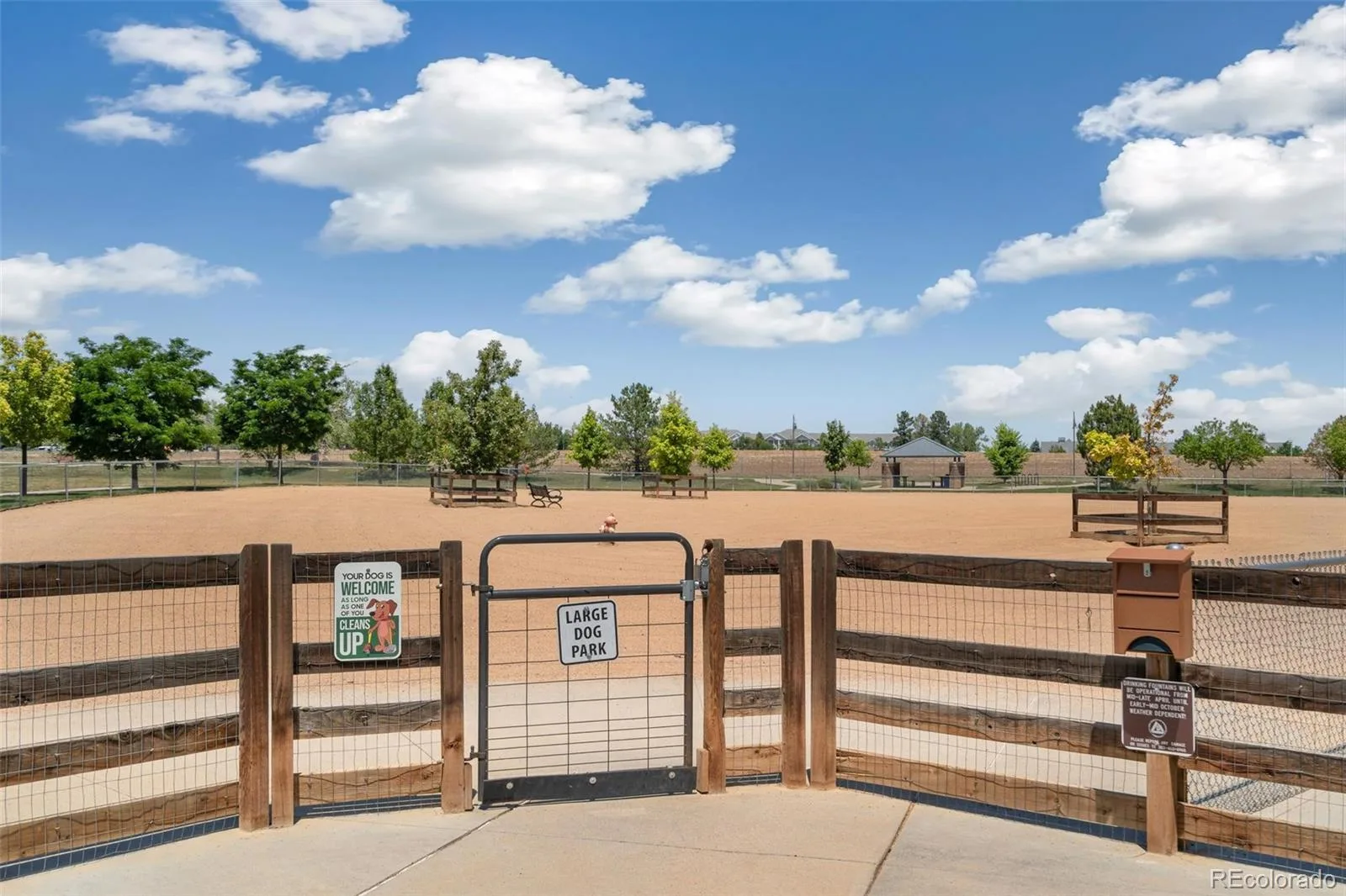 874 Dexter Drive Broomfield CO 80020 MLS #REC6857259 07172026020514 1600 41