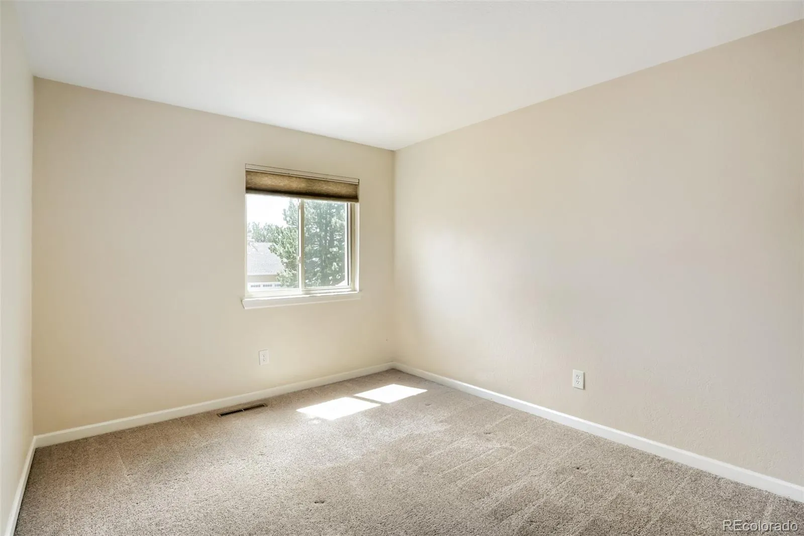 11803 Vallejo Street Westminster CO 80234 MLS #REC6858415 05232026095334 1600 24