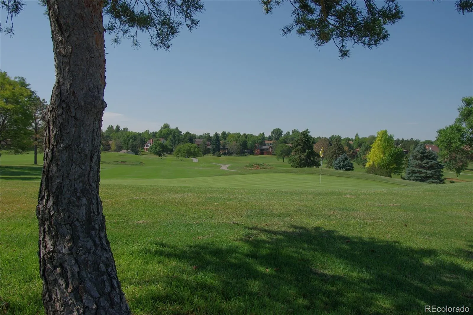 11803 Vallejo Street Westminster CO 80234 MLS #REC6858415 05232026095334 1600 39