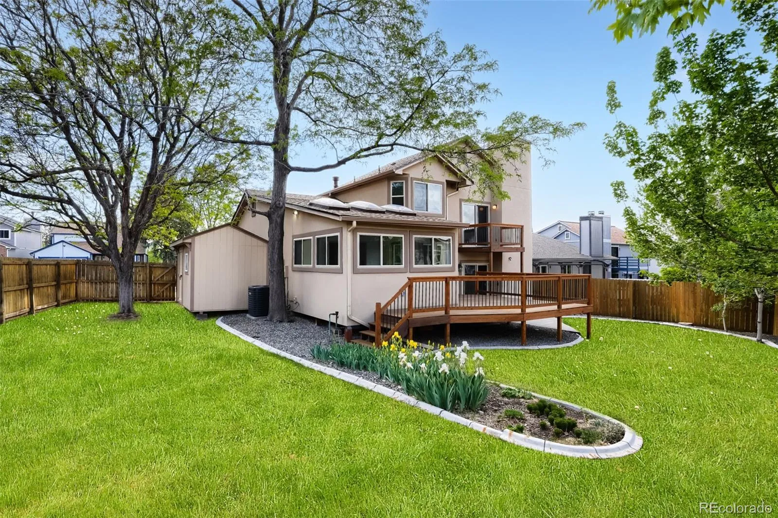 11803 Vallejo Street Westminster CO 80234 MLS #REC6858415 05232026095334 1600 7