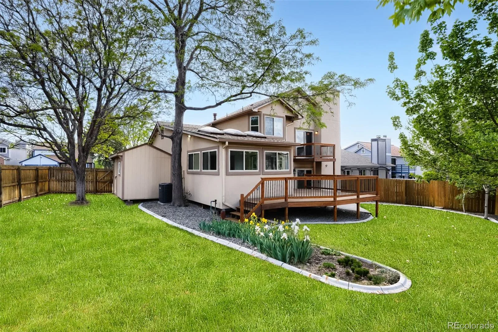 11803 Vallejo Street Westminster CO 80234 MLS #REC6858415 07082026175810 1600 31