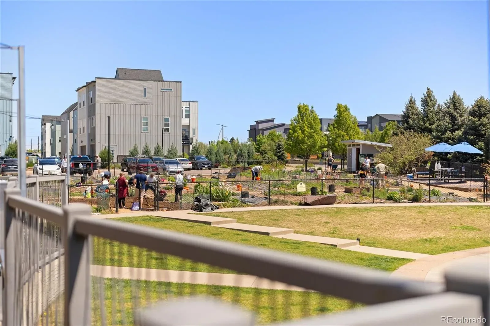 03142026020901 1600 43