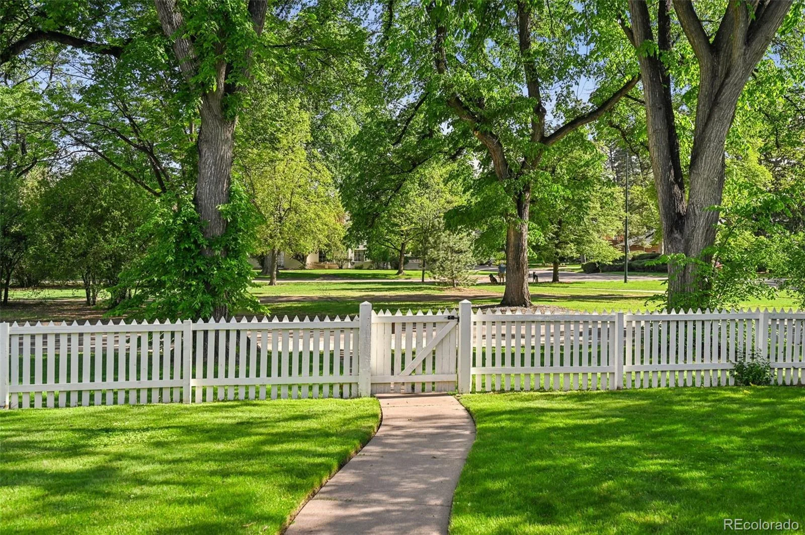 5815 E 6th Avenue Parkway Denver CO 80220 | MLS #REC6877660 07232026170956 1600 44