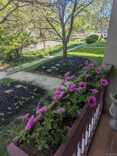 01302026064723 800 33