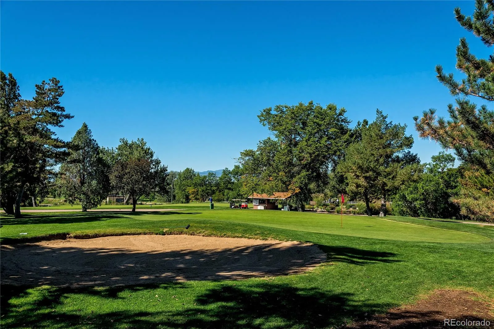 2876 S Elm Street Denver CO 80222 MLS #REC6890499 05272026024523 1600 24