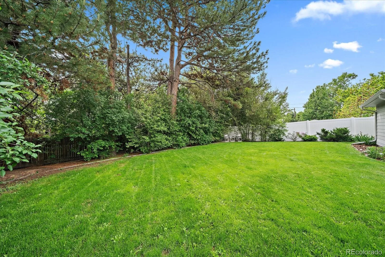 910 Kearney Street Denver CO 80220 MLS #REC6891934 06092026050142 1600 23