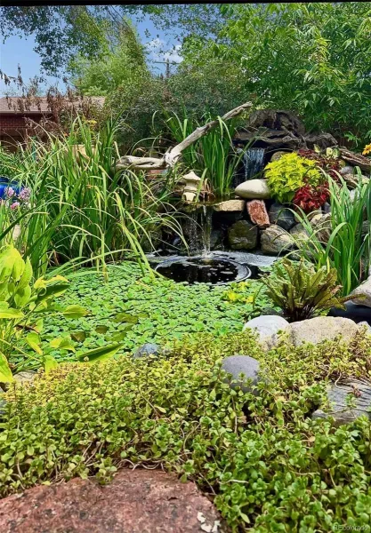 03212026151817 800 44