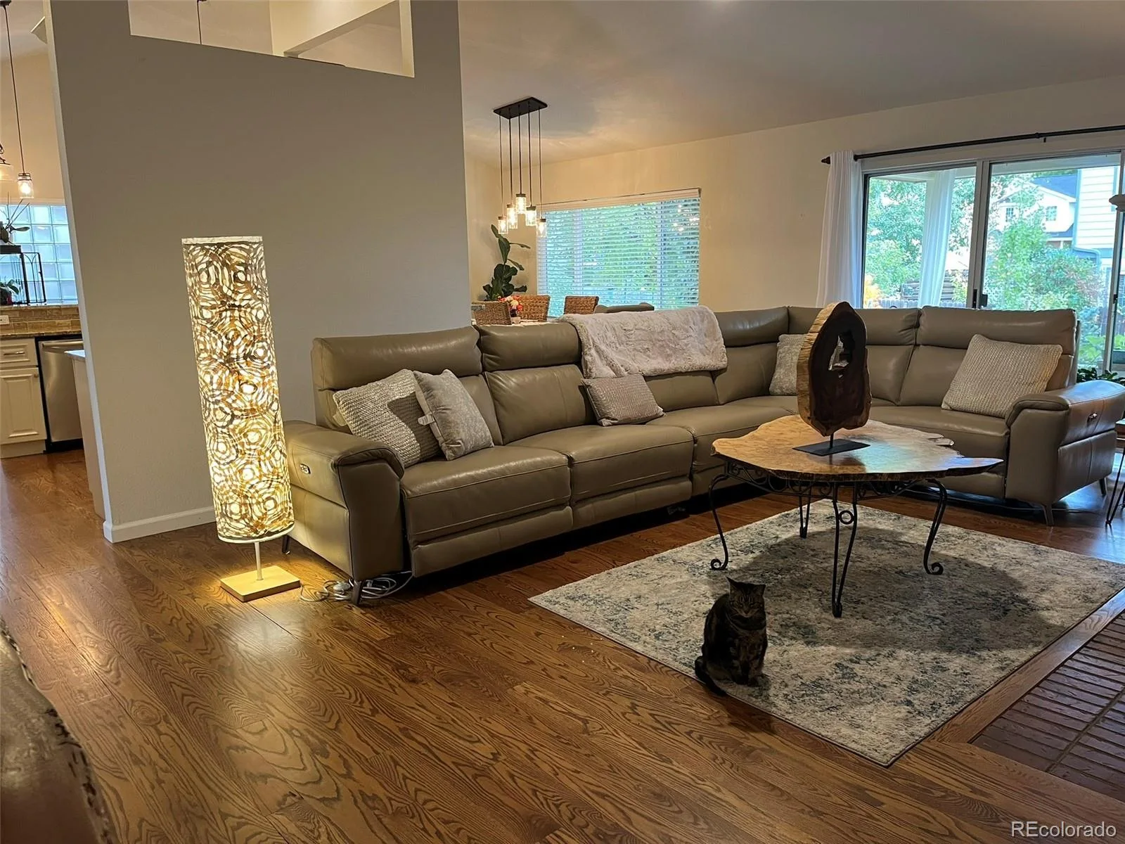 10025 Teton Court Lone Tree CO 80124 MLS #REC6895155 06012026192050 1600 4