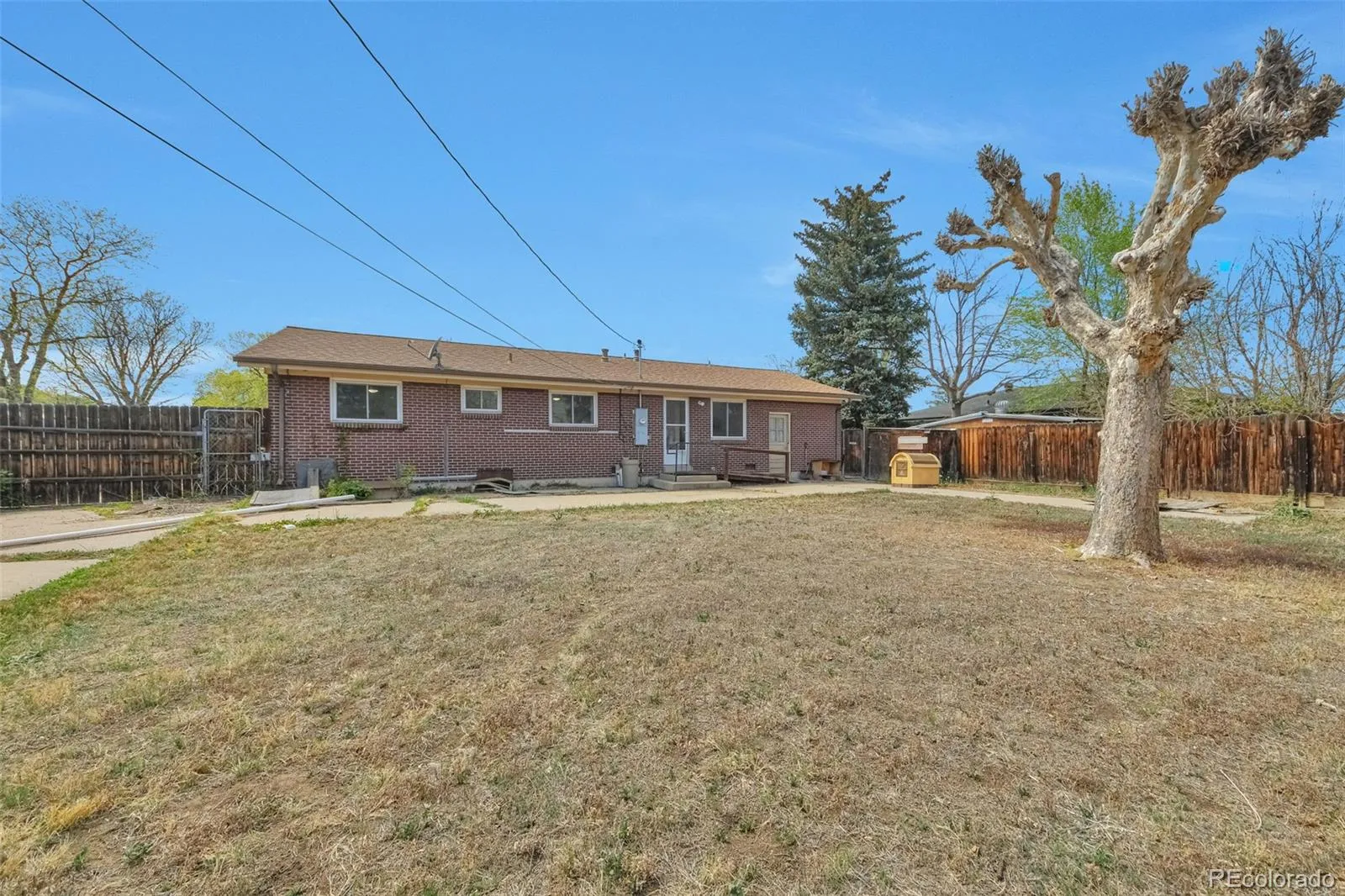 04152026165107 1600 20