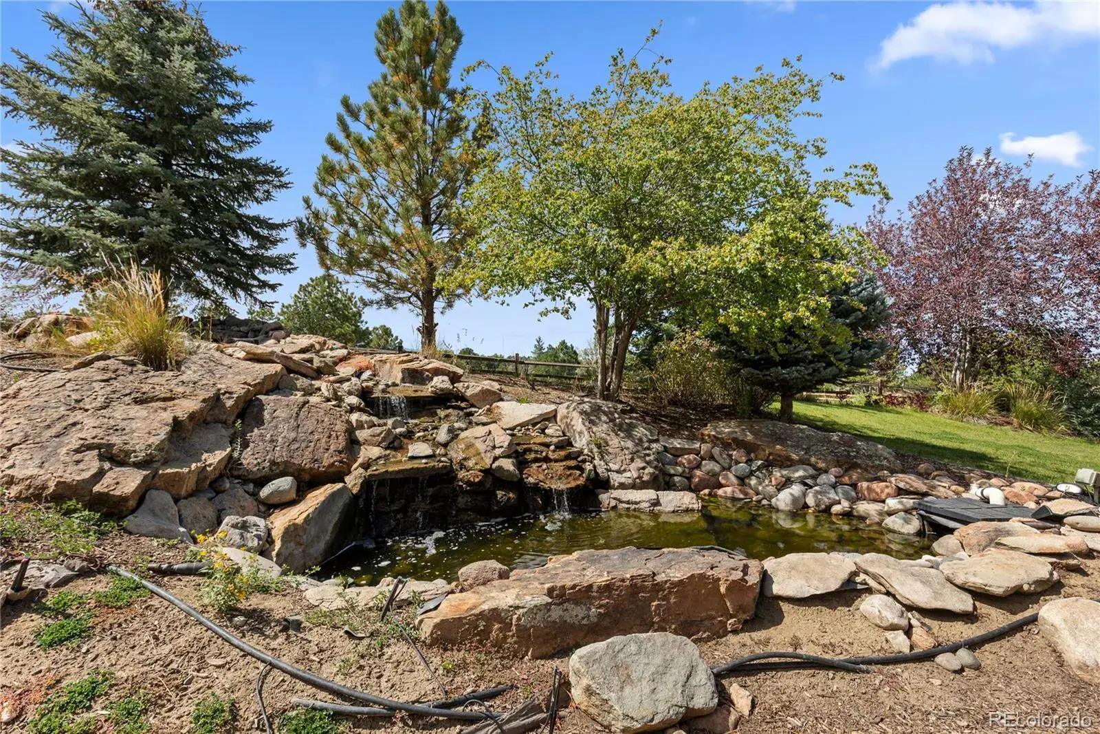 19333 E Briarwood Place Place Aurora CO 80016 | MLS #REC6899063 09152025213346 1600 44