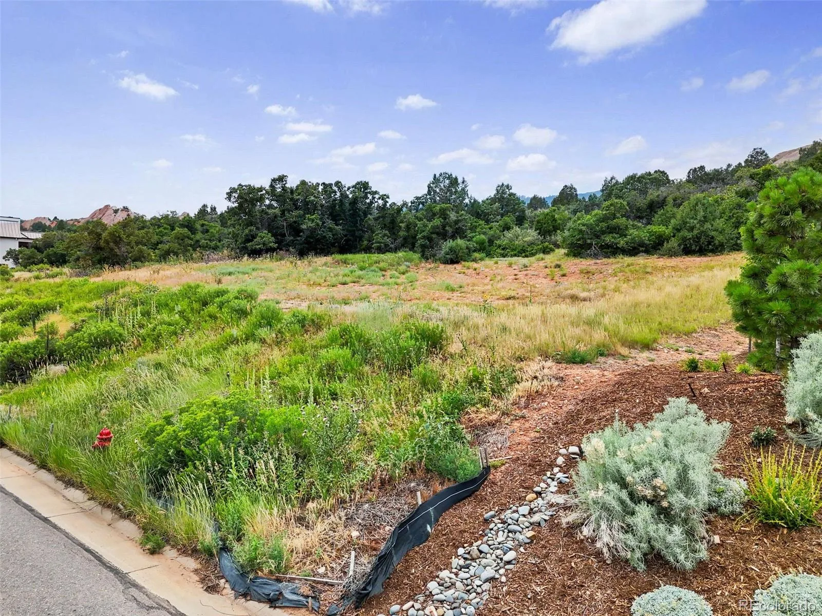 7983 Raphael Lane Littleton CO 80125 | MLS #REC6904188 07142026183846 1600 5
