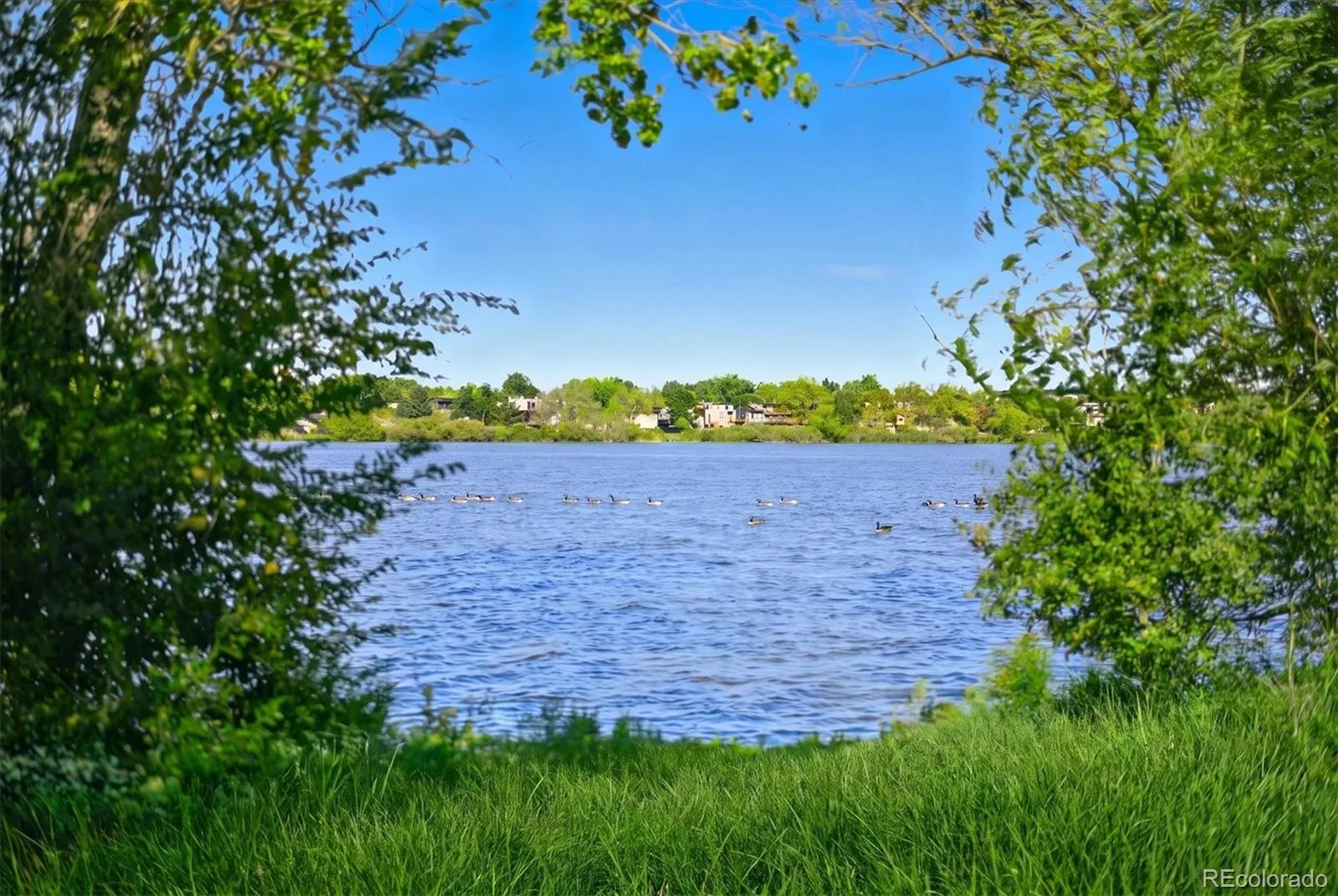 2680 N Gray Street Wheat Ridge CO 80214 | MLS #REC6906351 08202026014312 1600 44