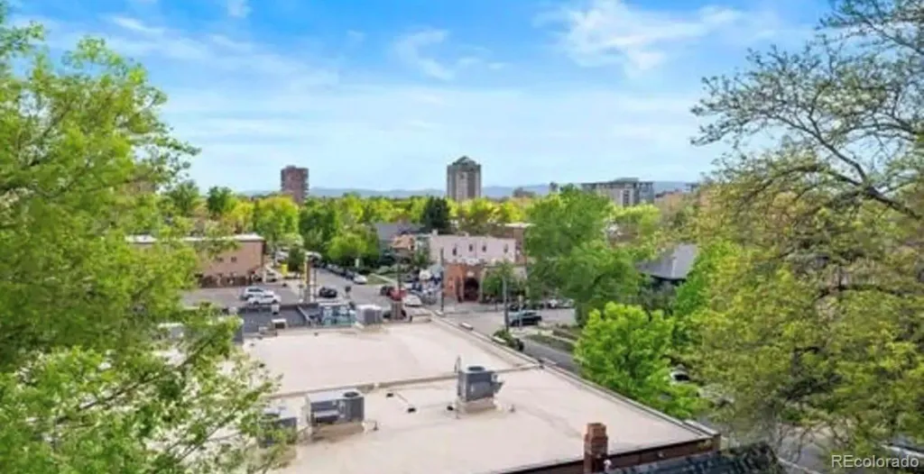 636 N Washington Street #205 Denver CO 80203 MLS #REC6910148 05122026161422 1024 13