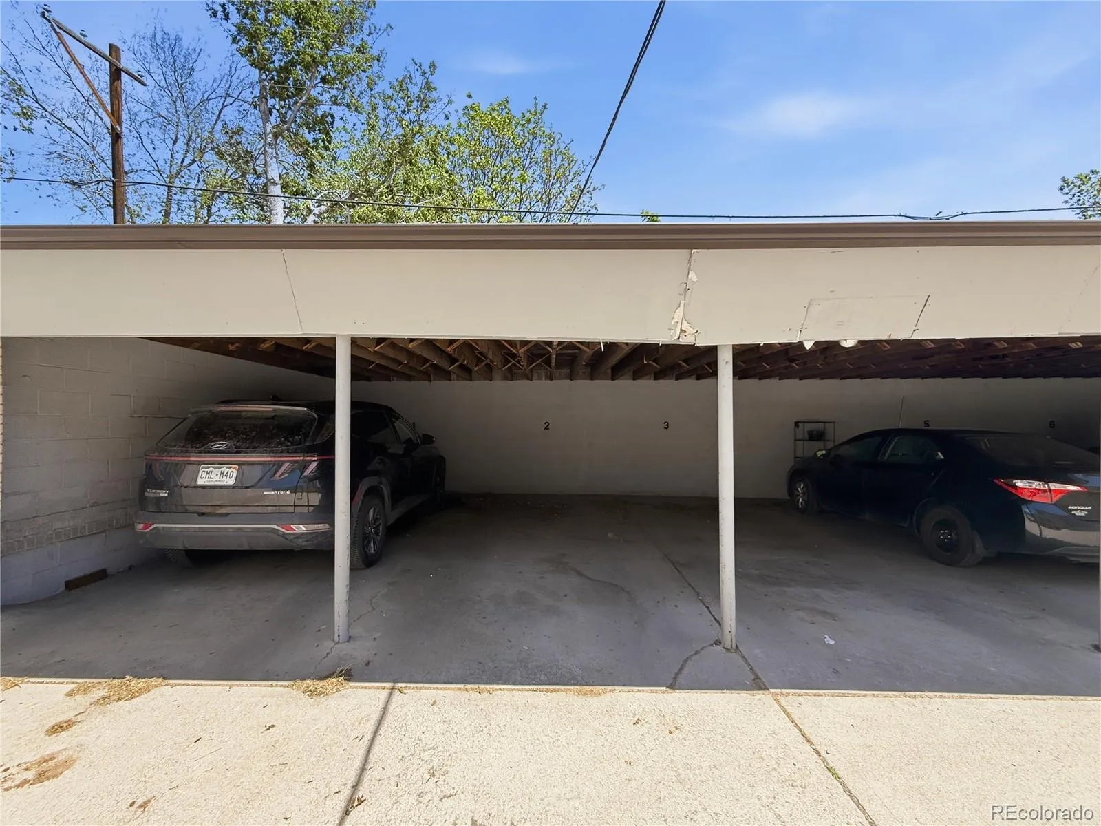 636 N Washington Street #205 Denver CO 80203 MLS #REC6910148 05122026161422 1600 35