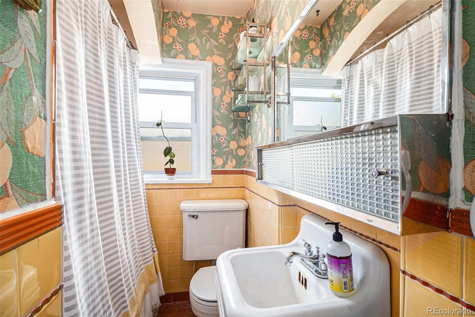 1775 Xenia Street Denver CO 80220 MLS #REC6925513 06202026161024 1600 19