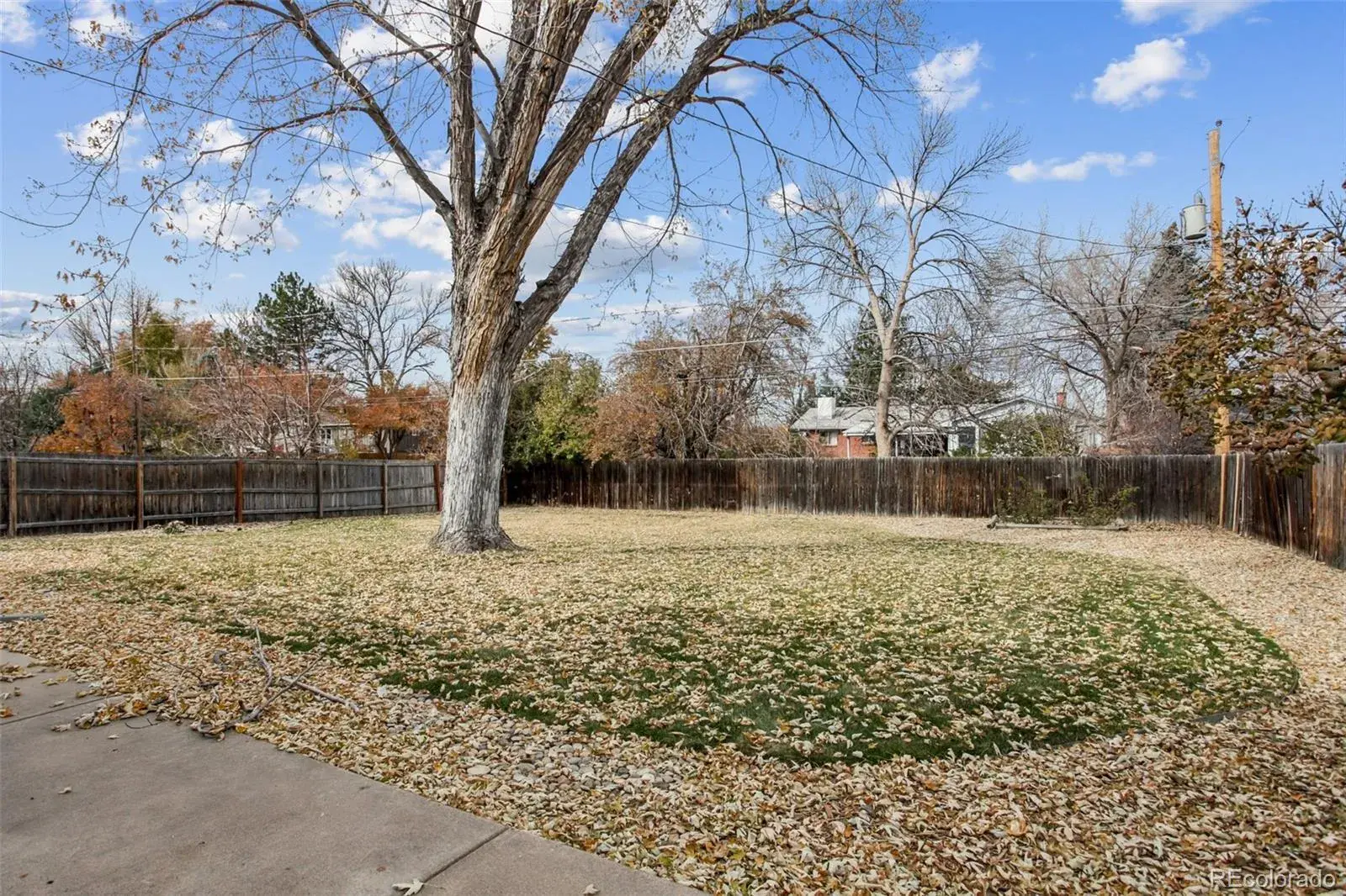 11142025191144 1600 3