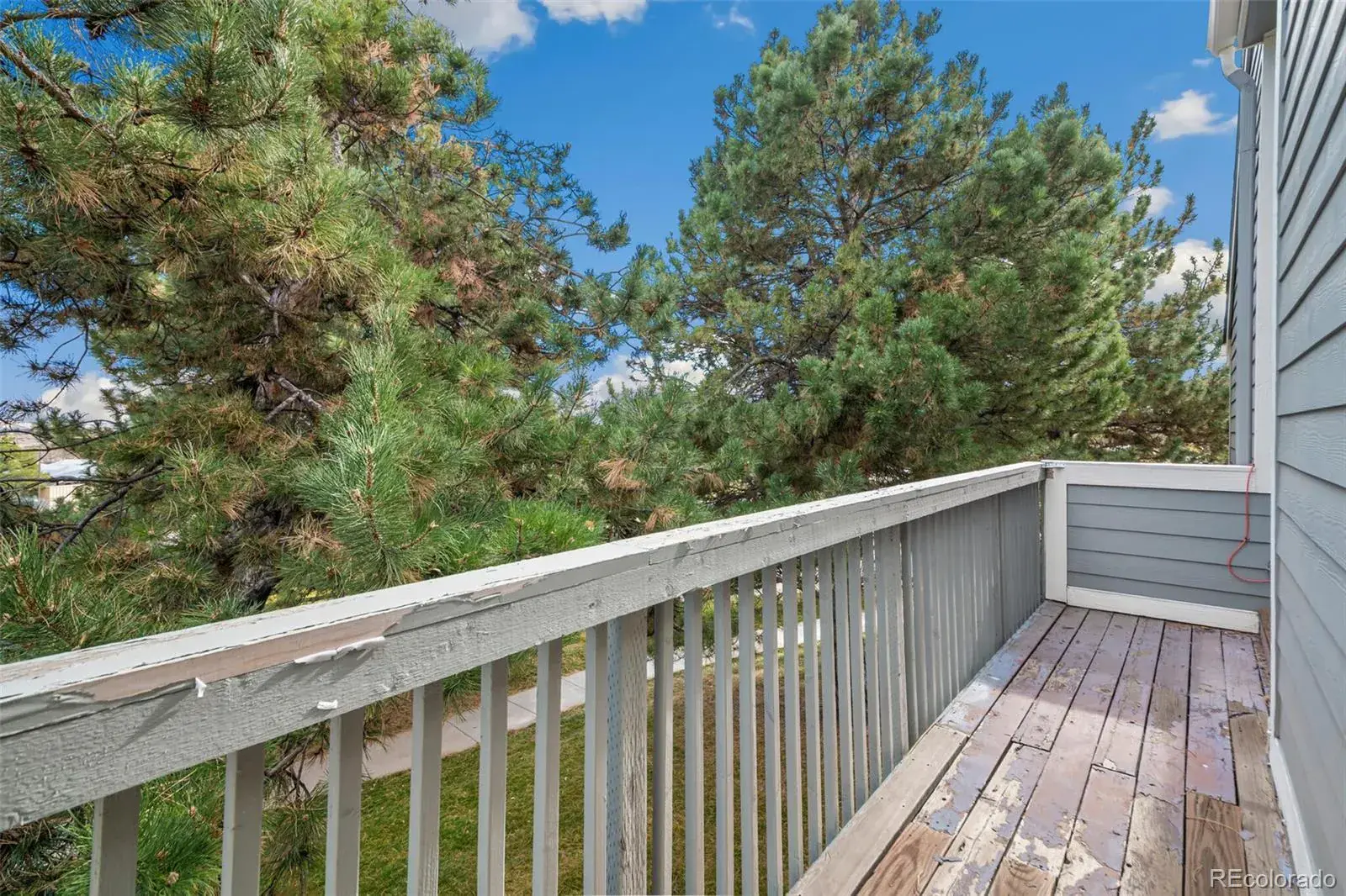 11212025211647 1600 17