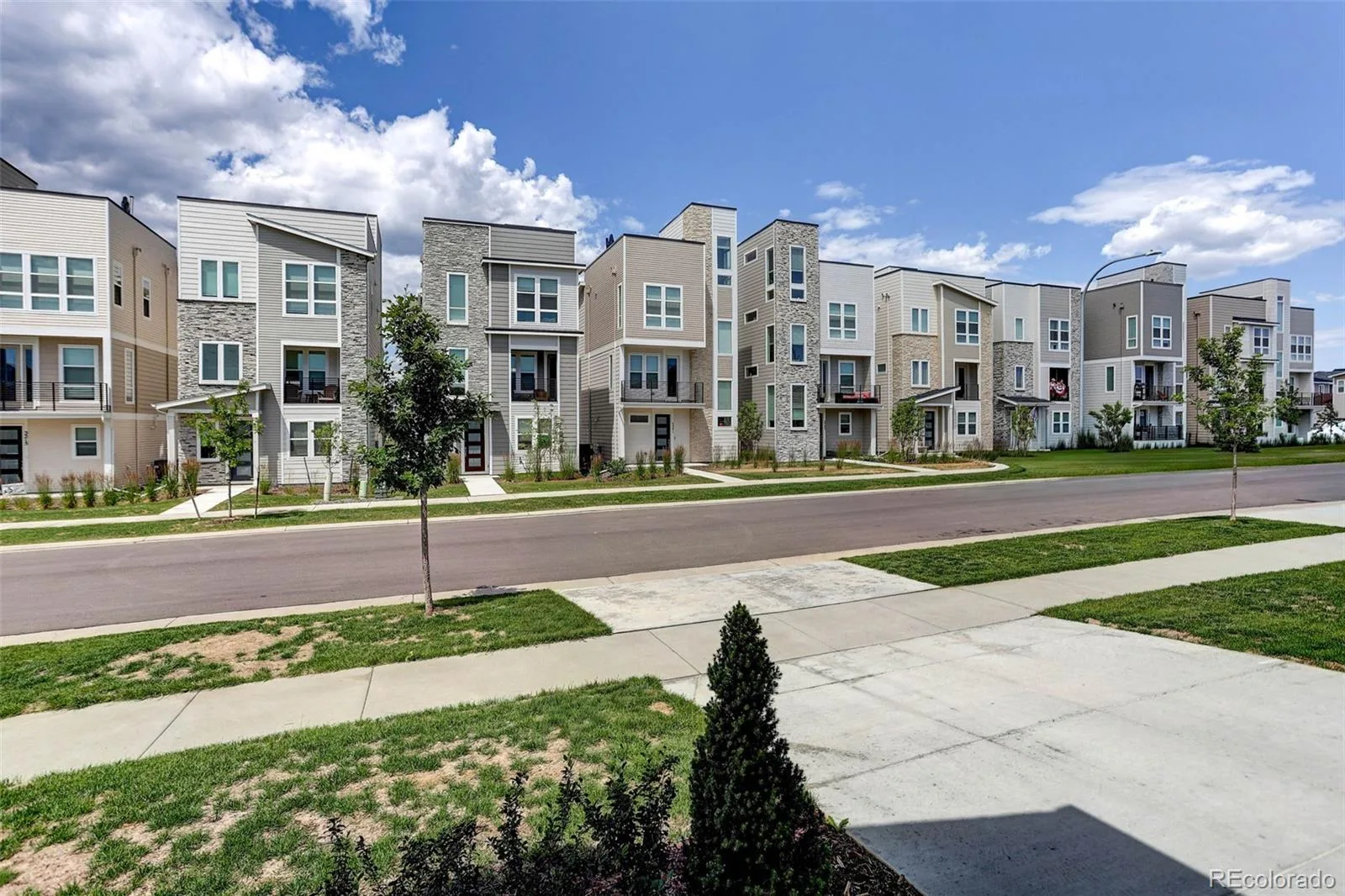 5234 Queen Court Arvada CO 80002 | MLS #REC6927393 07242026214008 1600 3