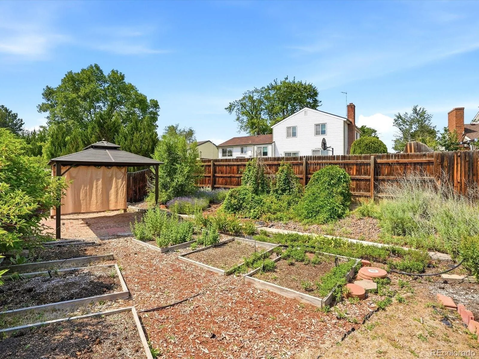 8220 Hoyt Way Arvada CO 80005 MLS #REC6933147 07092026220540 1600 21