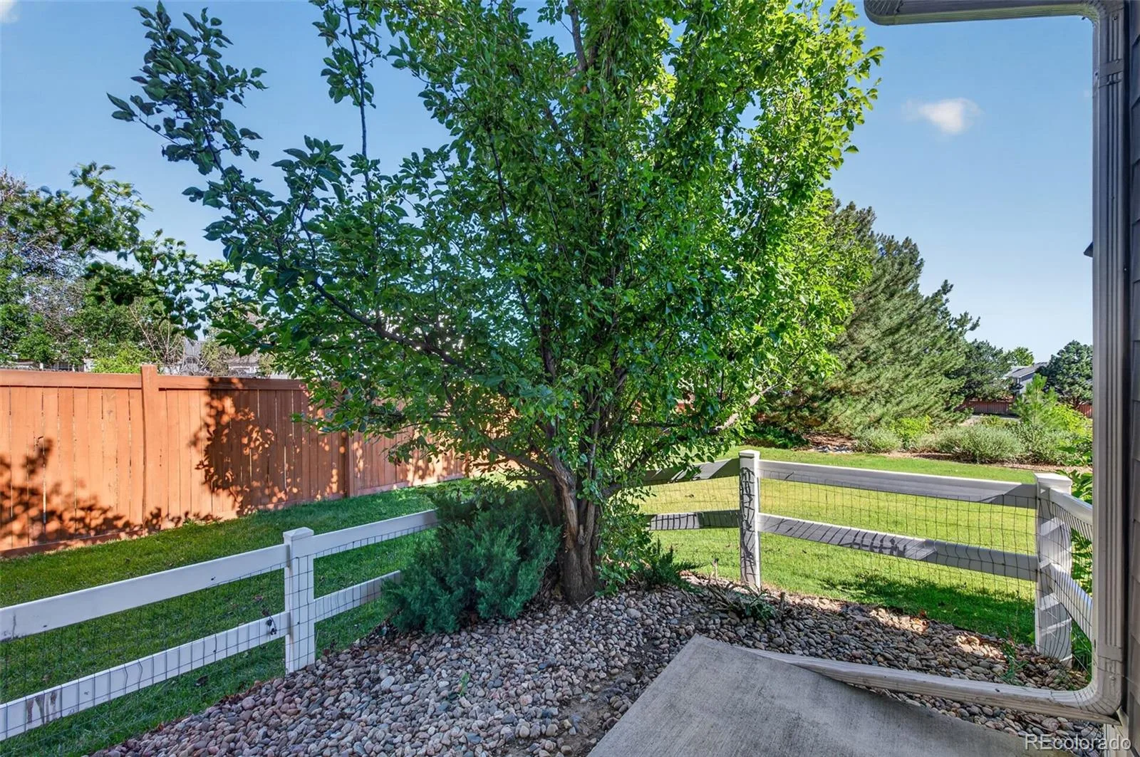 4323 S Jebel Lane Aurora CO 80015 | MLS #REC6937381 07152026082446 1600 10
