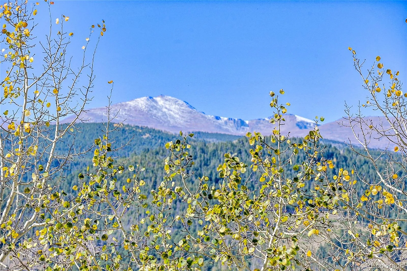 000 Granite Crag Circle Evergreen CO 80439 | MLS #REC6951789 04072026050249 1600 1
