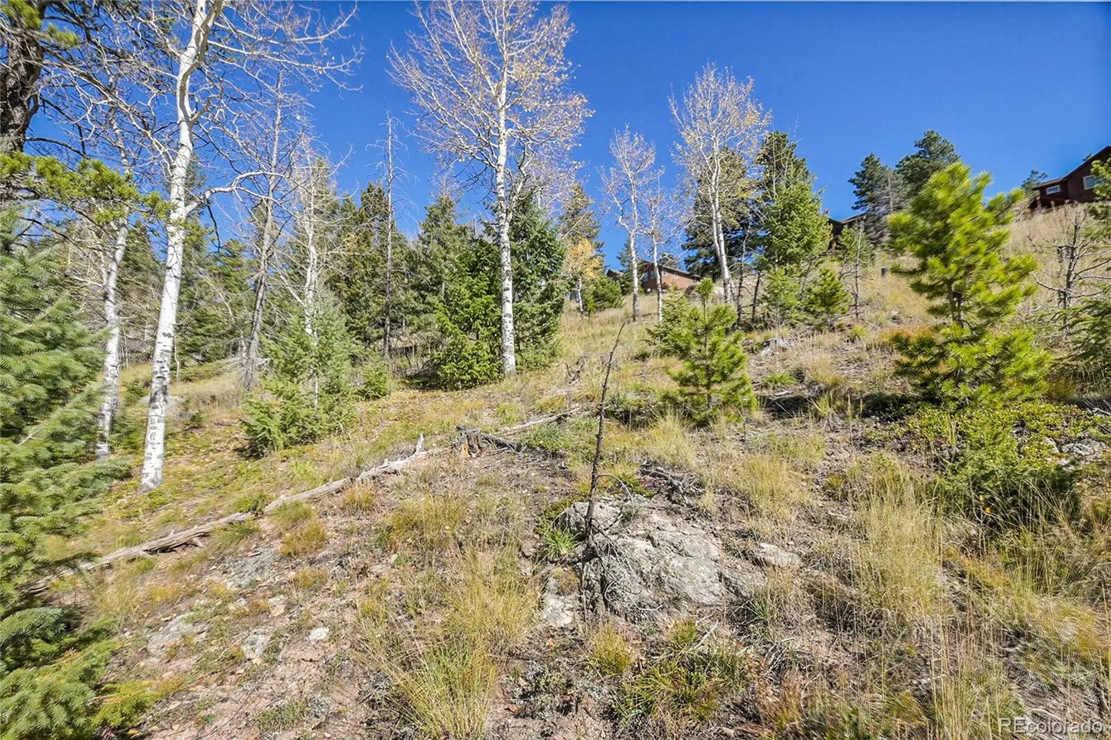 000 Granite Crag Circle Evergreen CO 80439 | MLS #REC6951789 04072026050249 1600 11