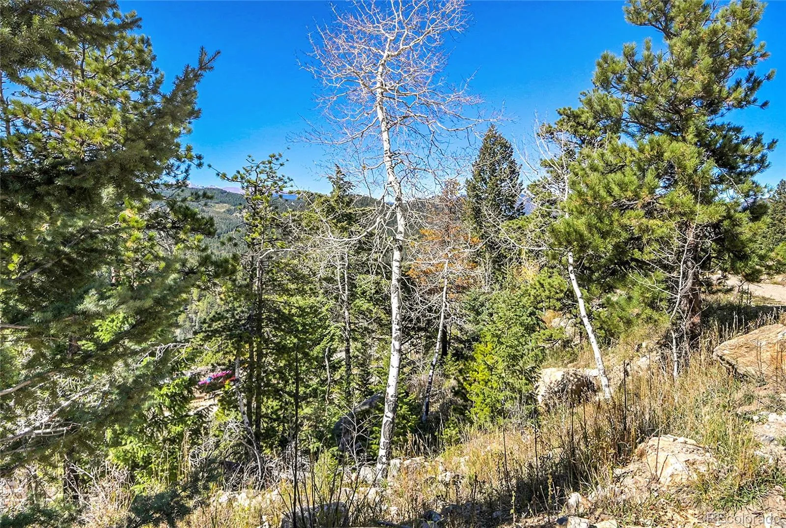 000 Granite Crag Circle Evergreen CO 80439 | MLS #REC6951789 04072026050249 1600 12