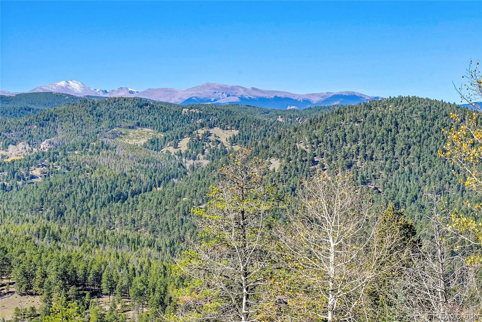 000 Granite Crag Circle Evergreen CO 80439 | MLS #REC6951789 04072026050249 1600 3