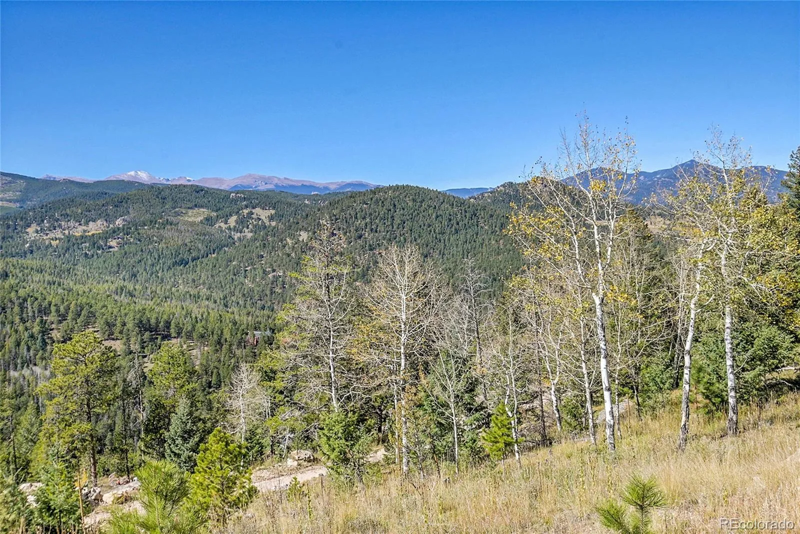 000 Granite Crag Circle Evergreen CO 80439 | MLS #REC6951789 04072026050249 1600 4